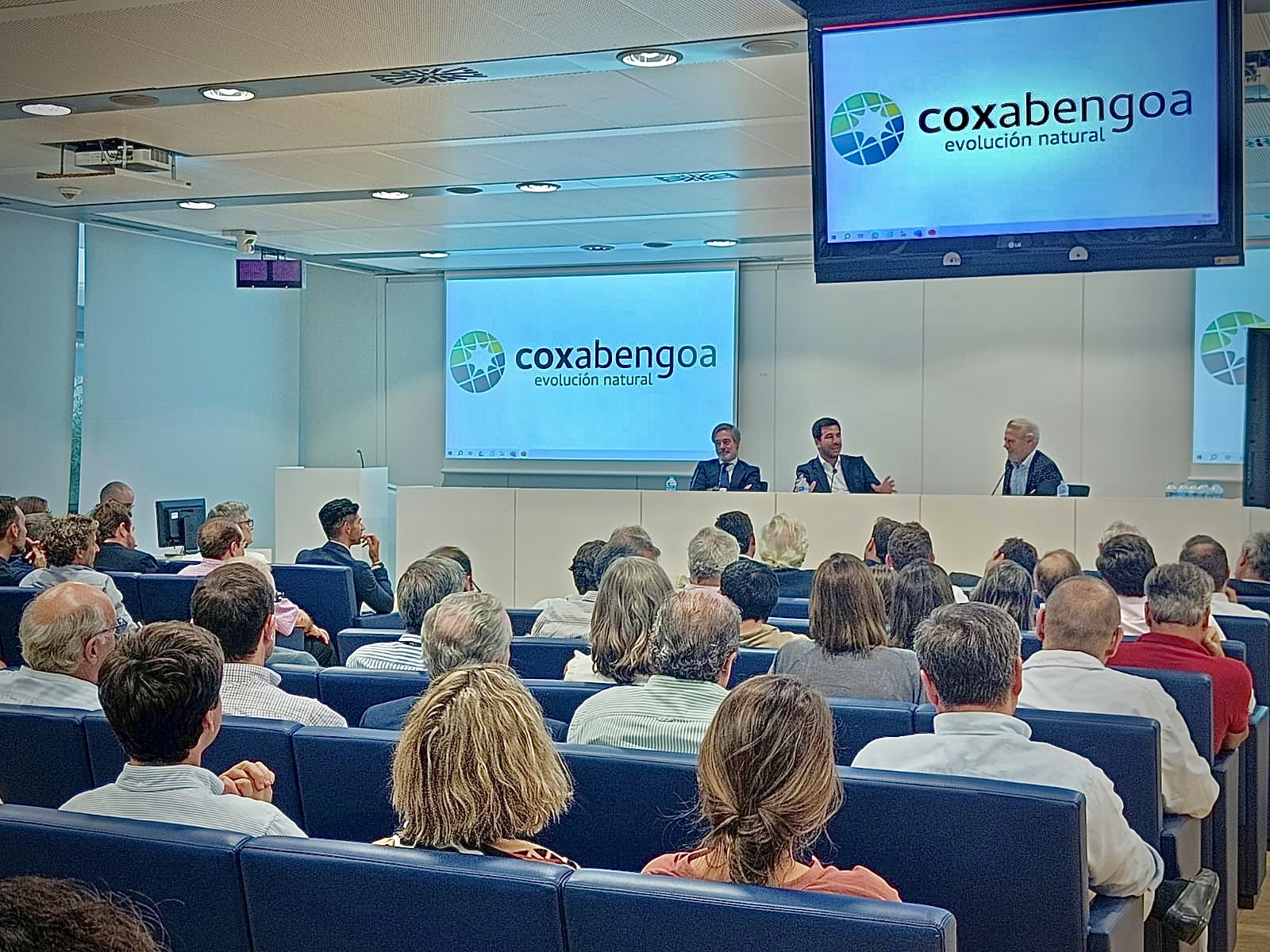 presentación plantilla